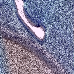 dv 2823 - 2015