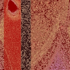dv 2829 -2015
