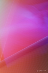 0026